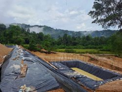 Dugaan Tambang Emas Ilegal di Tolondadu Satu Mengemuka, WNA Diduga Terlibat